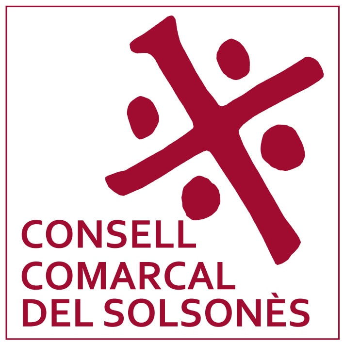 Consell comarcal solsones